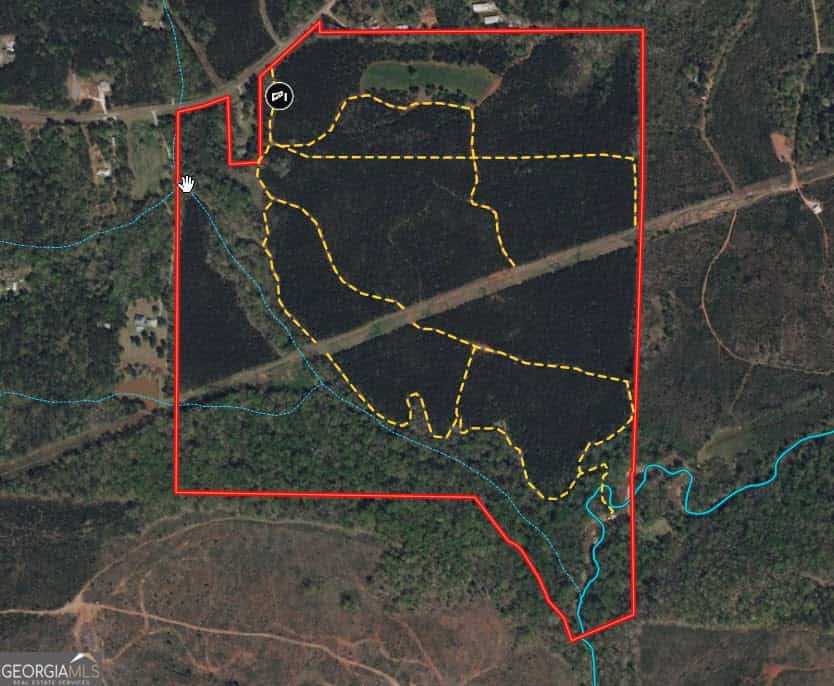 180.14 AC Johnson Mill RD, Hamilton, GA 31811