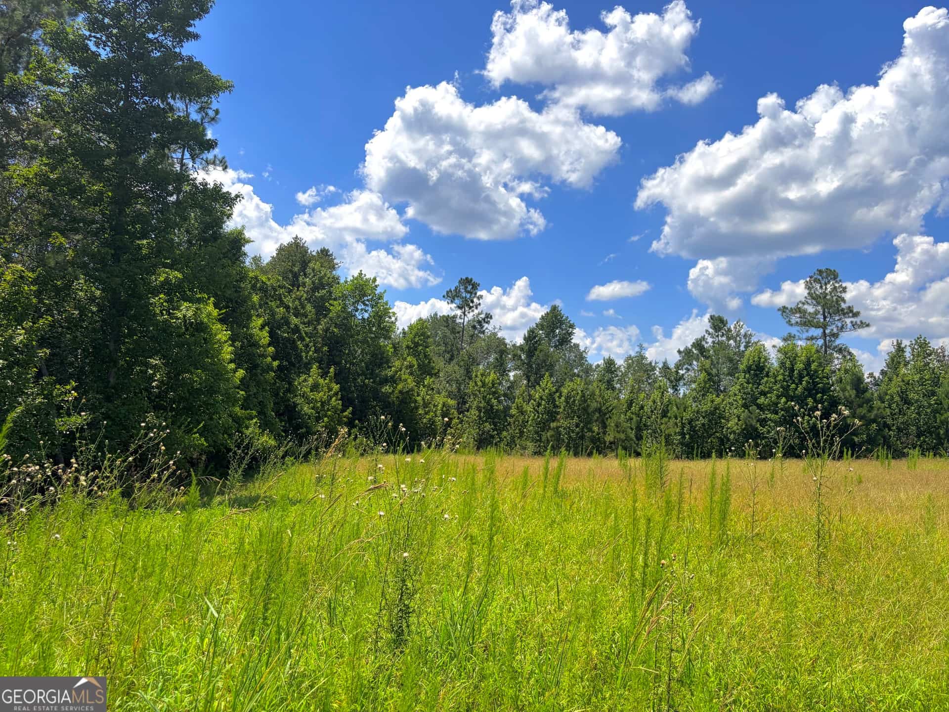 0 Ernest Carter RD, Hazlehurst, GA 31539