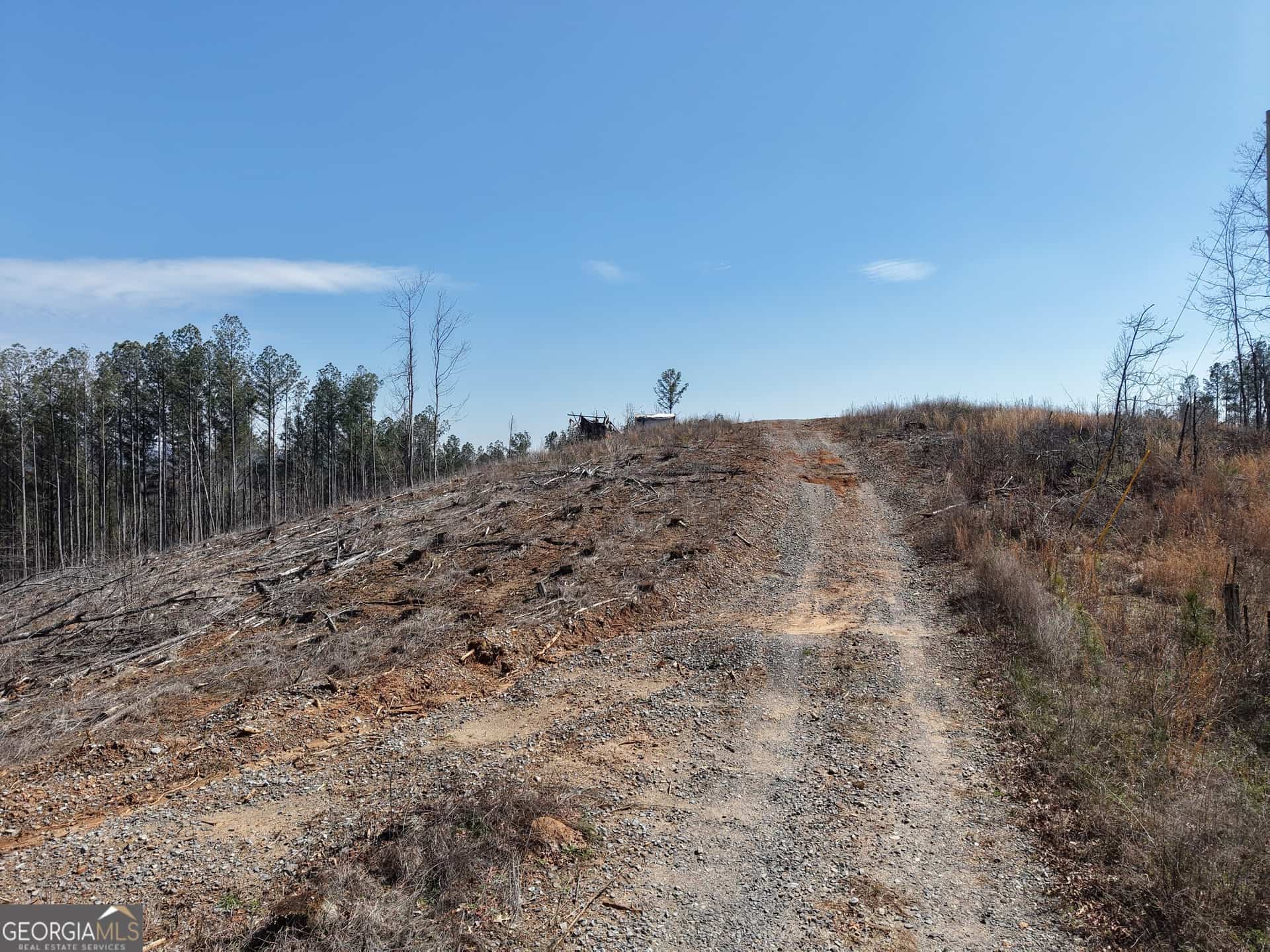 Listing photo 6