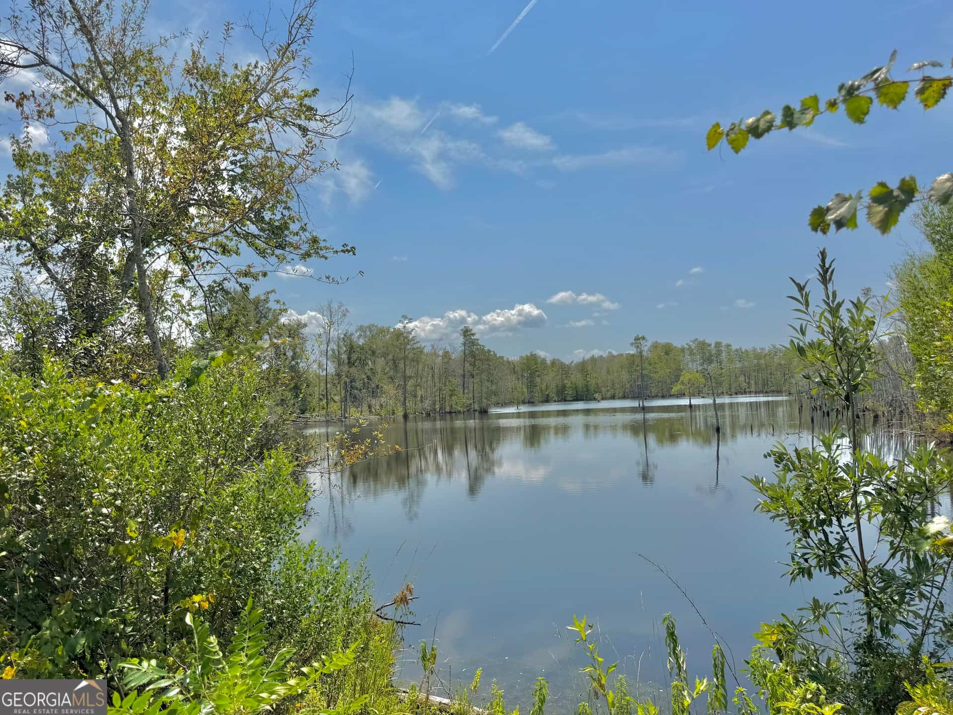 Listing photo 6