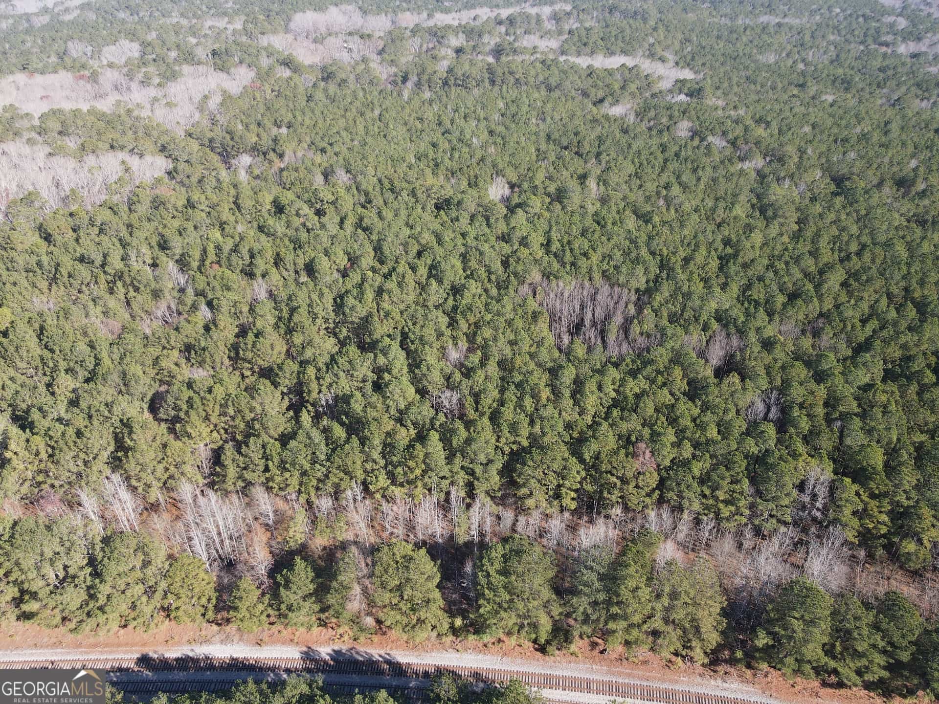 Listing photo 6