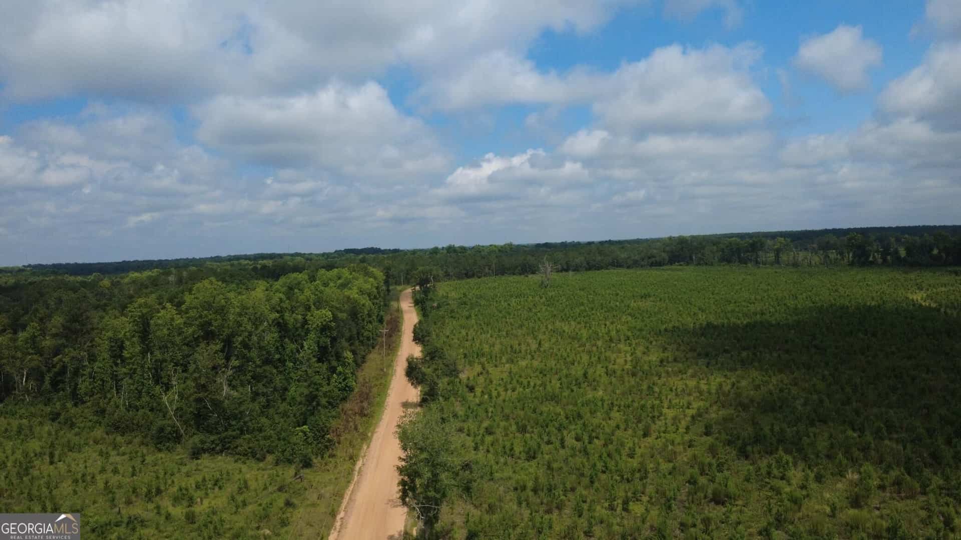 0 SIMS BROTHERS RD, Claxton, GA 30417