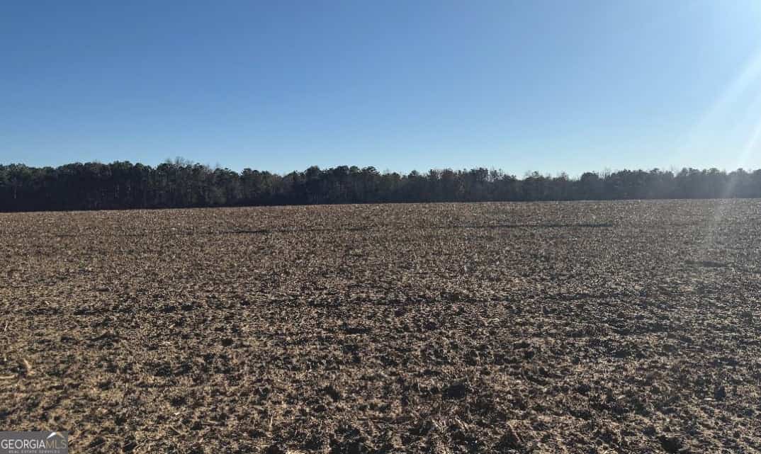 0 Whitfield RD, Elko, GA 31025