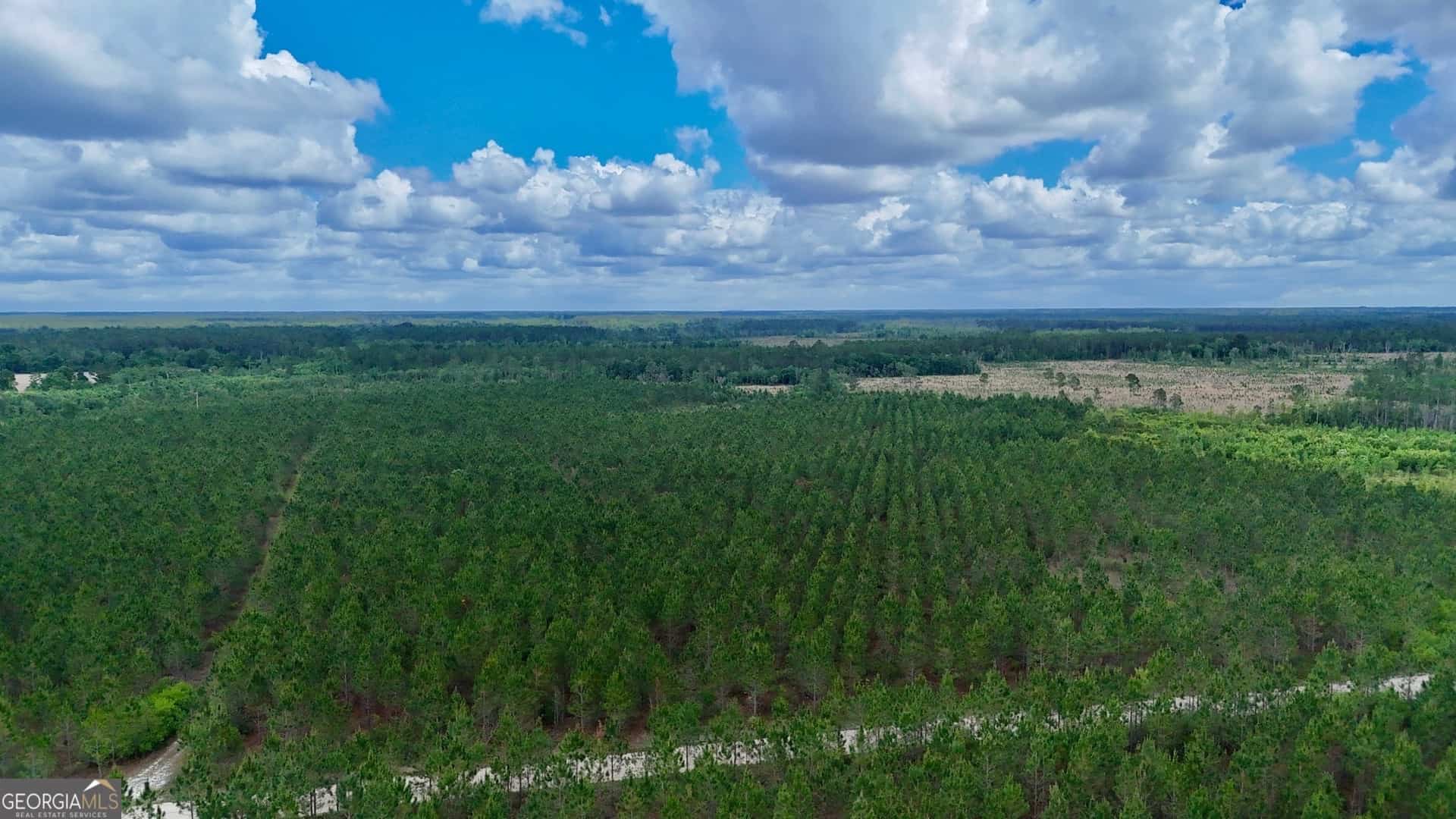 20 AC Owens RD, Odum, GA 31555