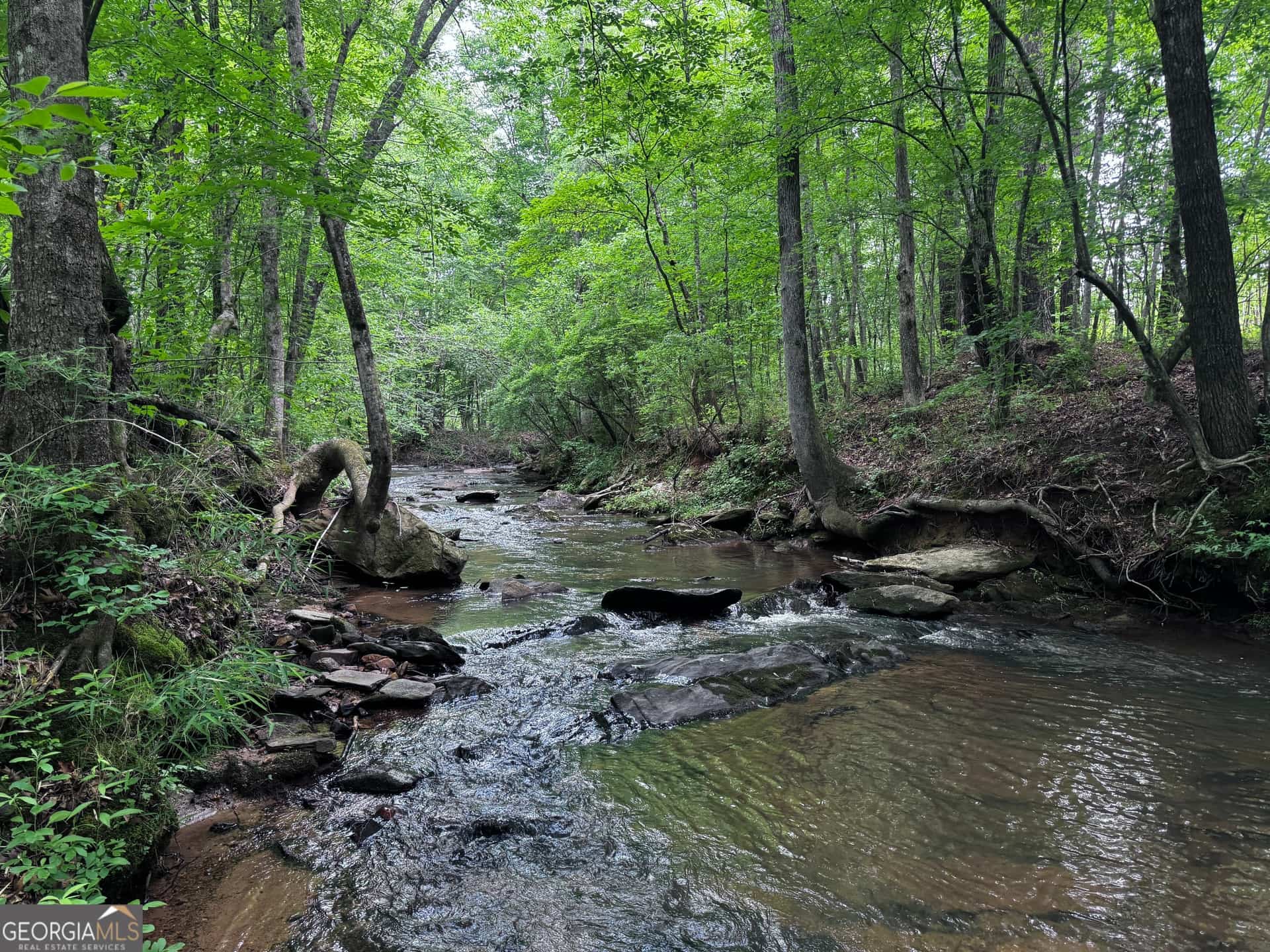 715+/- AC Ridgeway RD, Franklin, GA 30217