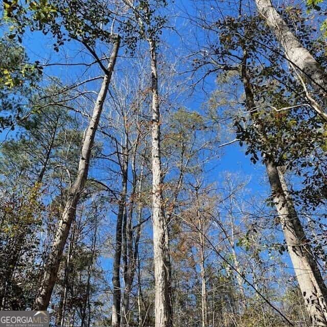 LOT B Pineville RD 100+/- ACRES #100+/- ACRES, Buena Vista, GA 31803