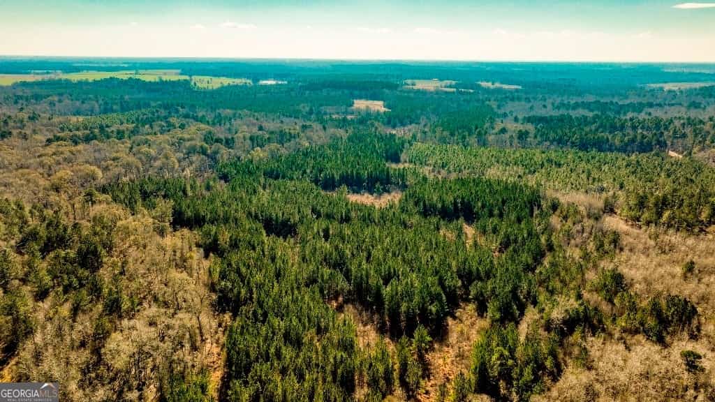 0 Crooked RD, Millen, GA 30442