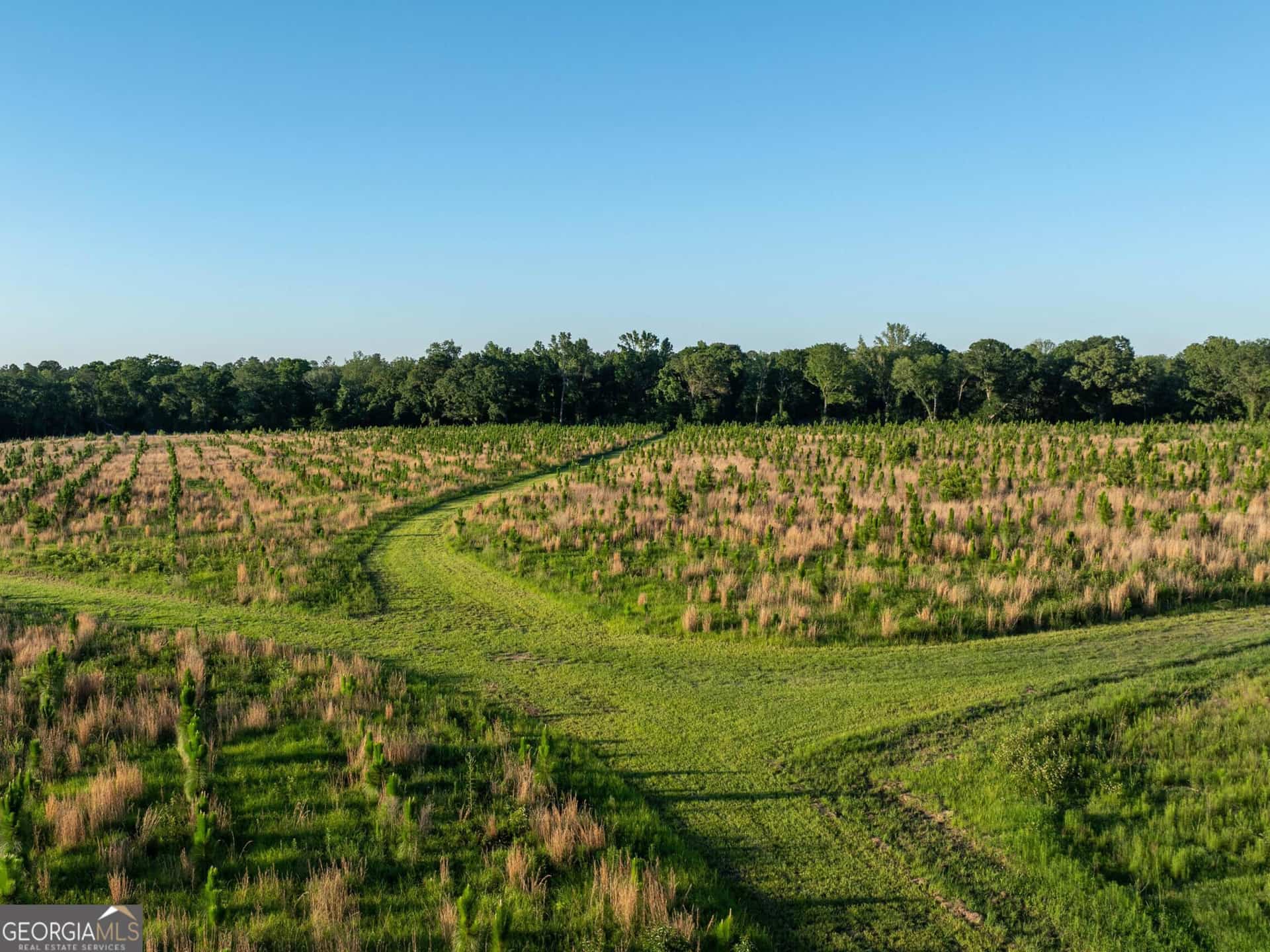 006 Beulah Road Tract 6, Sylvania, GA 30467