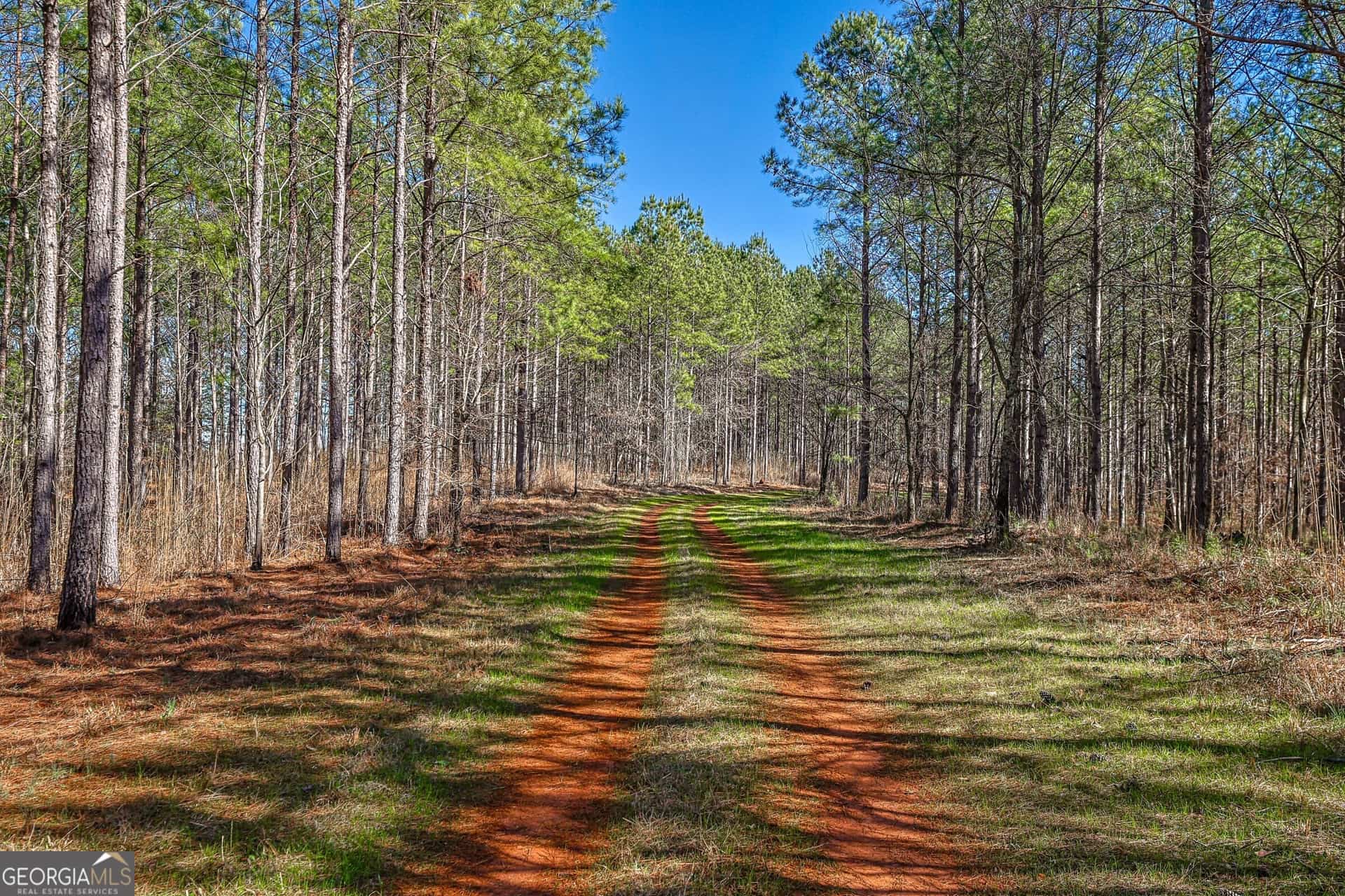 T1-2 Old Zebulon RD, Forsyth, GA 31029
