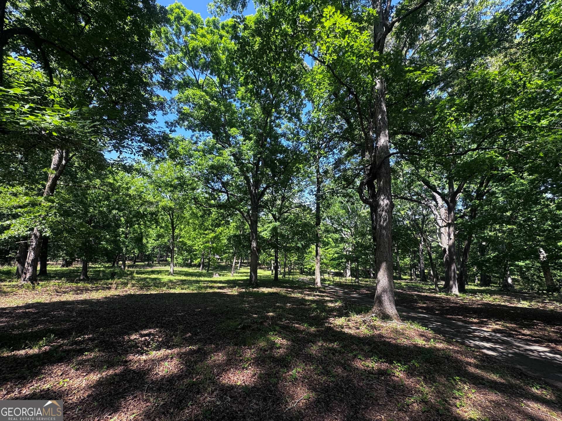 Listing photo 6