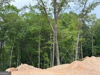 2180 Dunn RD, Molena, GA 30258