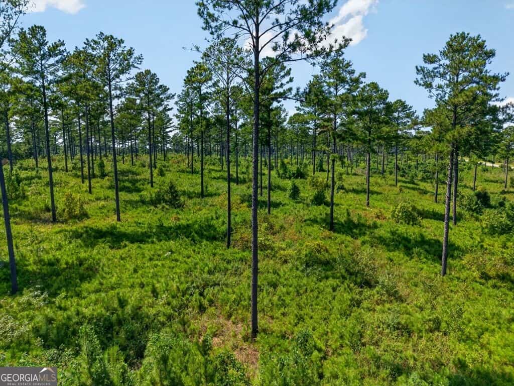 0 Hwy 30 TRACT A #TRACT A, Buena Vista, GA 31803