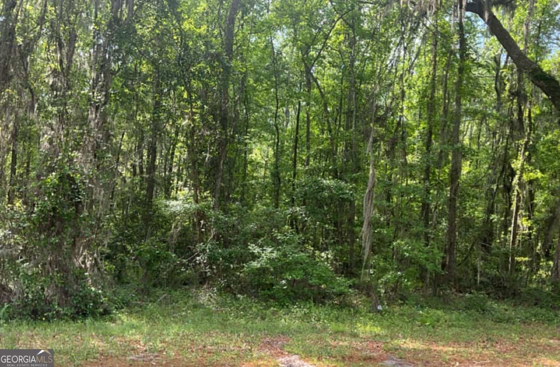 0 Youngman RD, Townsend, GA 31331