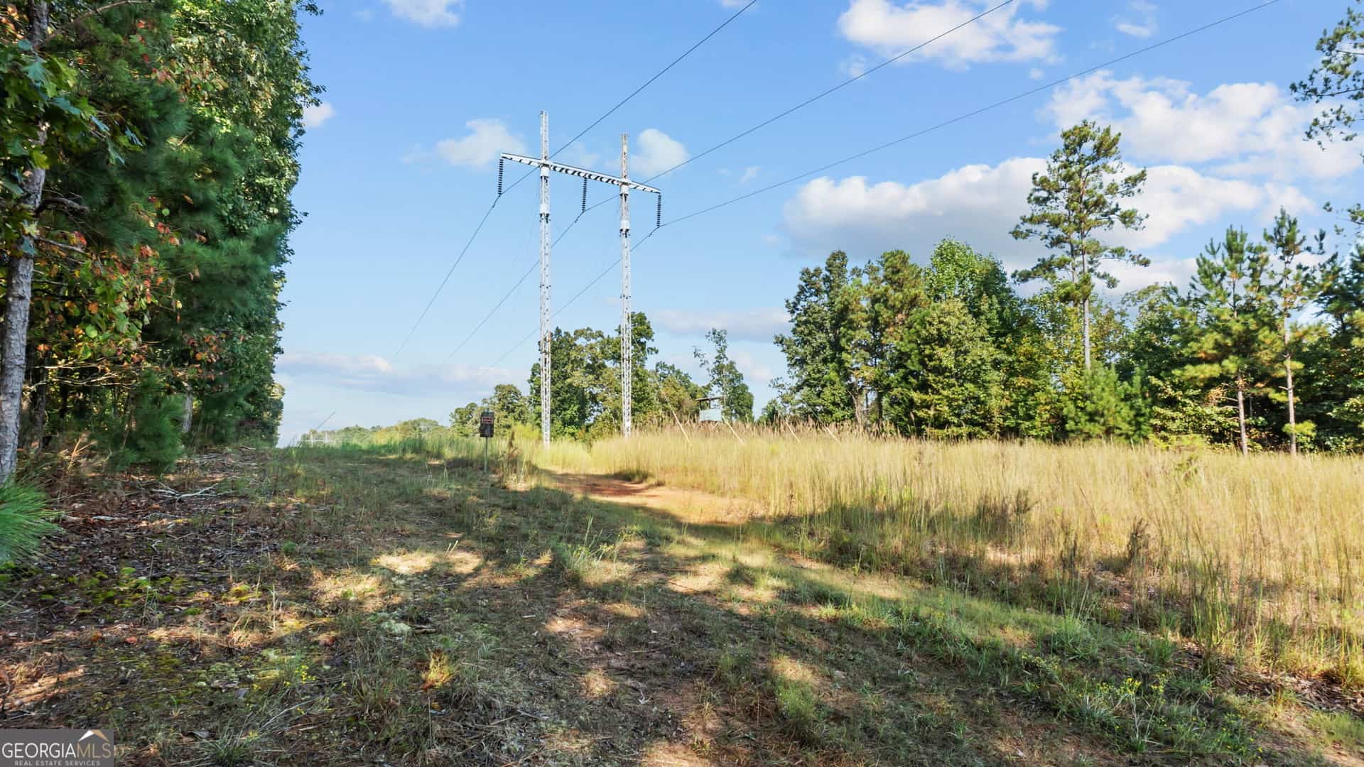 2987 Steele RD, Griffin, GA 30223