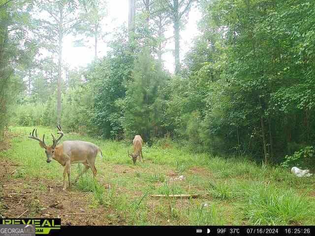 0 Seven Islands RD, Madison, GA 30650