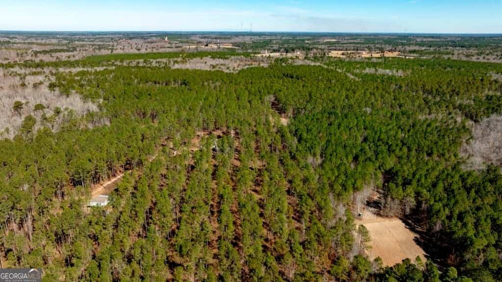 1401 Messex RD, Millen, GA 30442