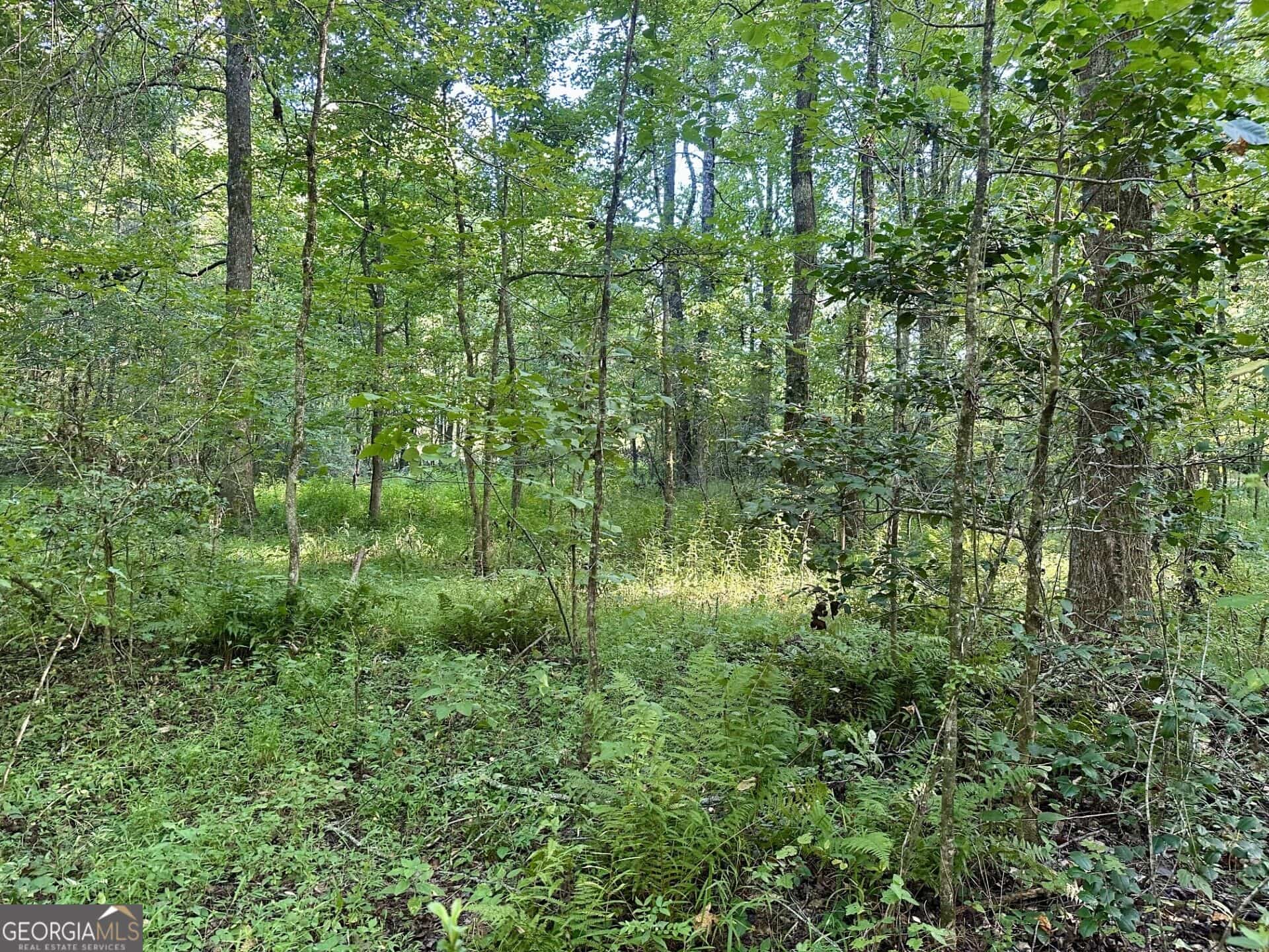 Listing photo 6