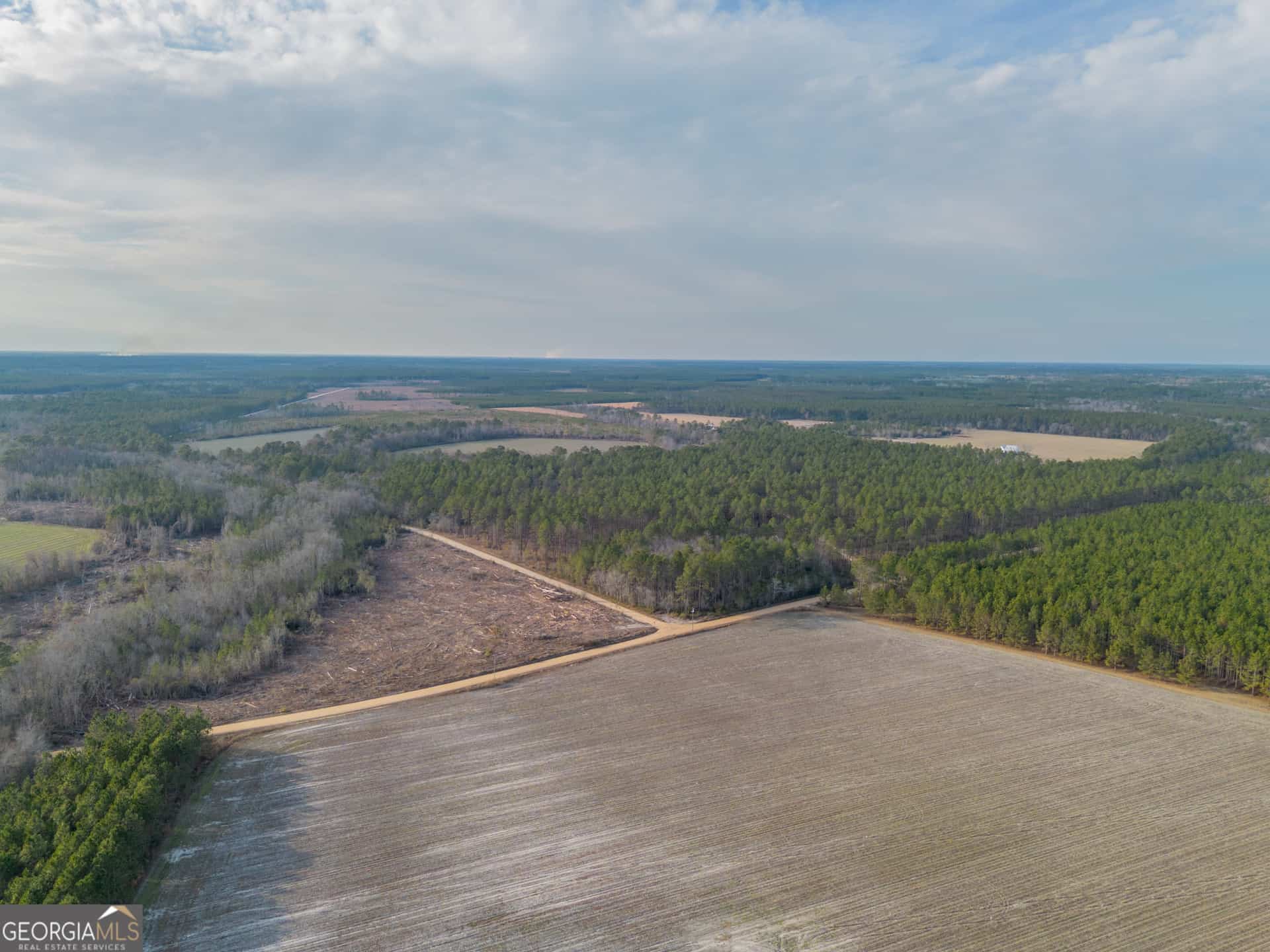 TRACT 3 Reddish RD, Odum, GA 31555
