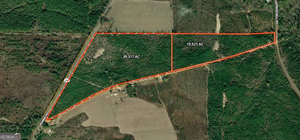 39.317 Ronnie RD, Buena Vista, GA 31803
