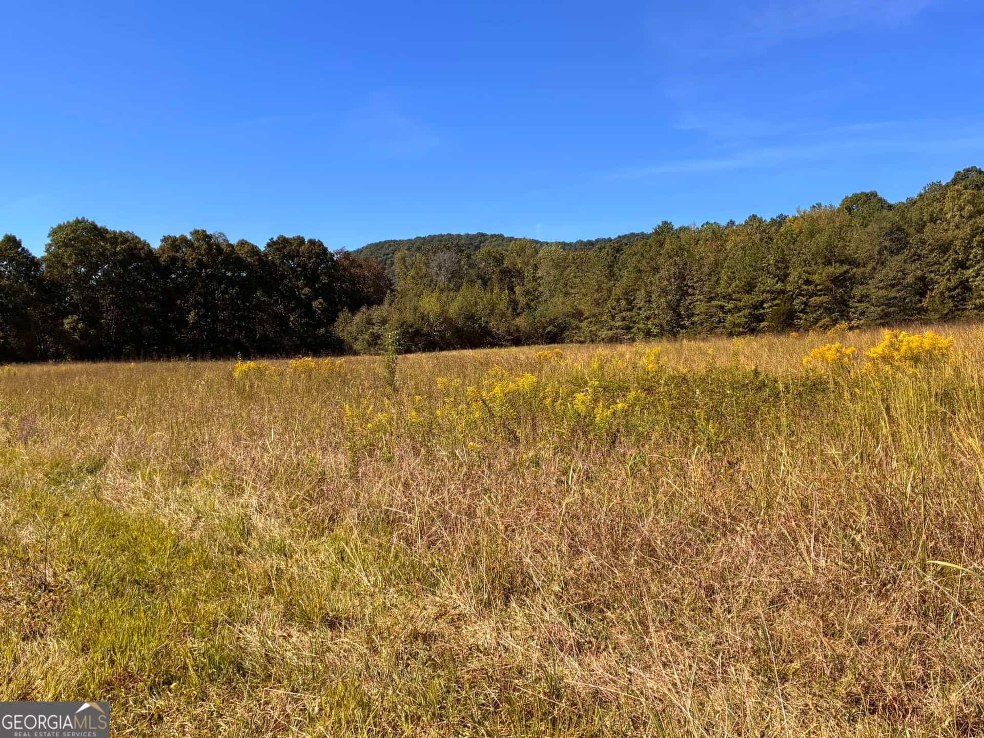 36.55 ACRES Back Valley RD, Lyerly, GA 30730