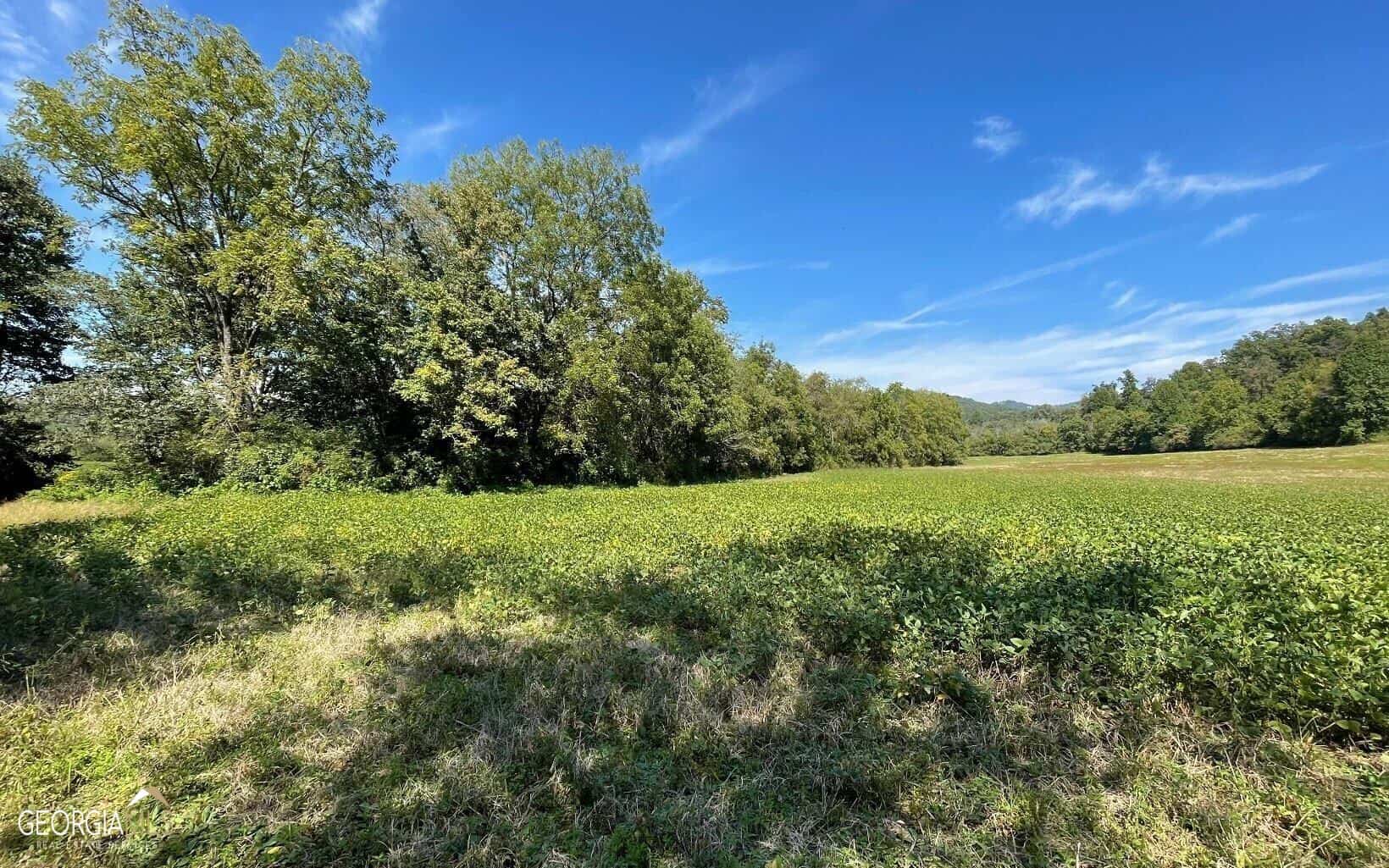 37+ ACRES Jarrett RD, Hayesville, NC 28904