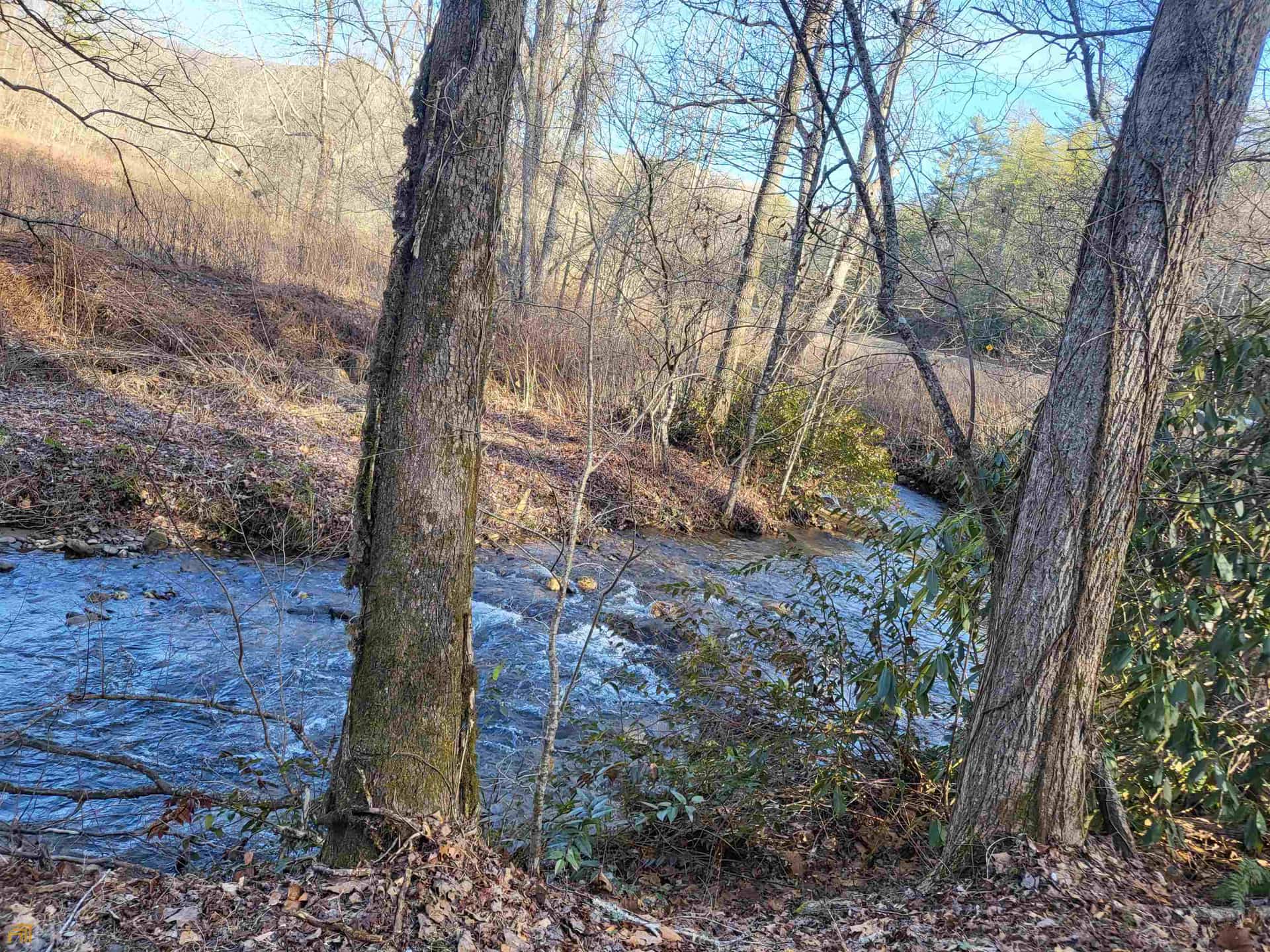 59 AC Hwy 356 & Skylake RD, Sautee Nacoochee, GA 30571