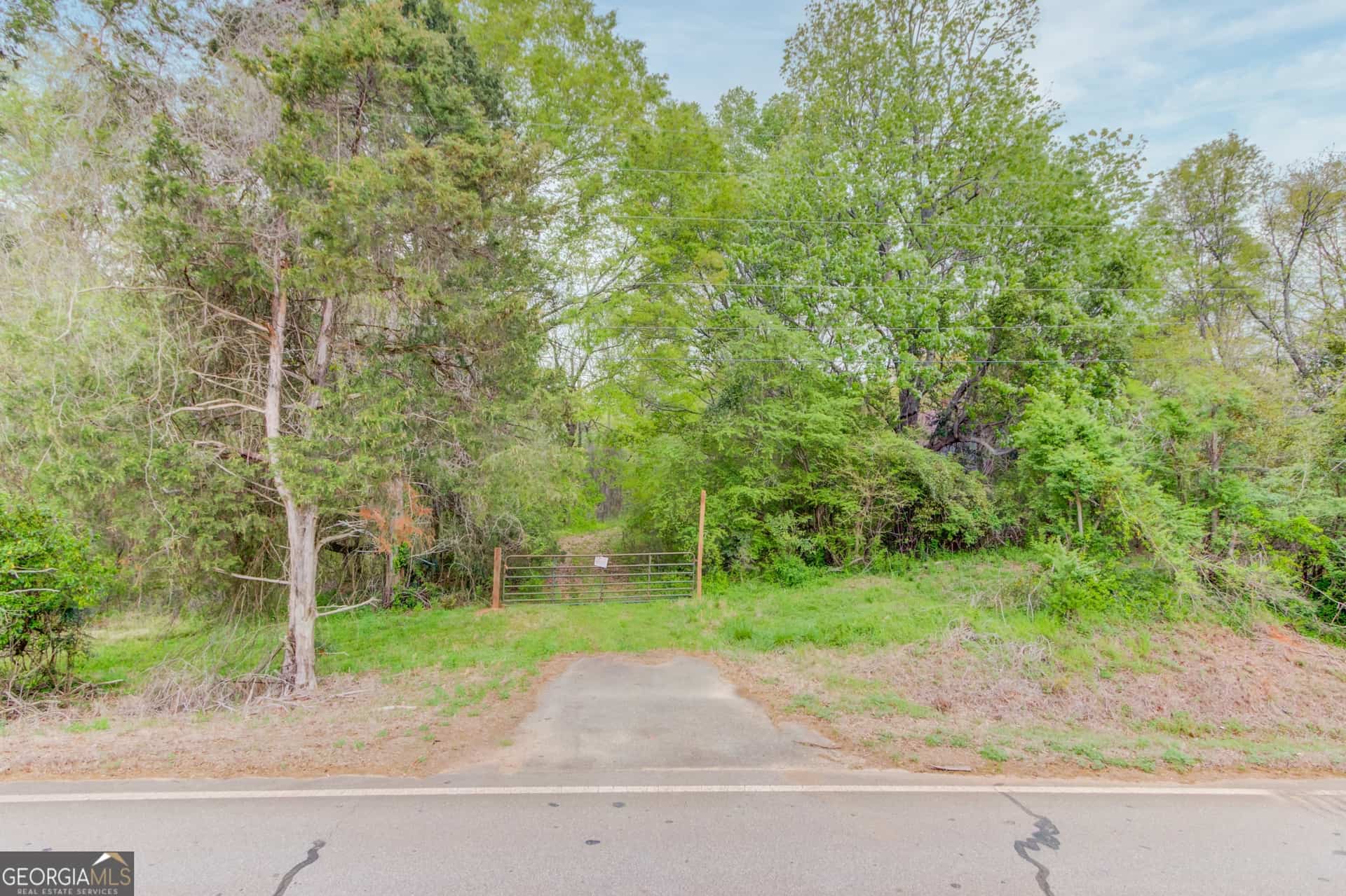 Listing photo 6
