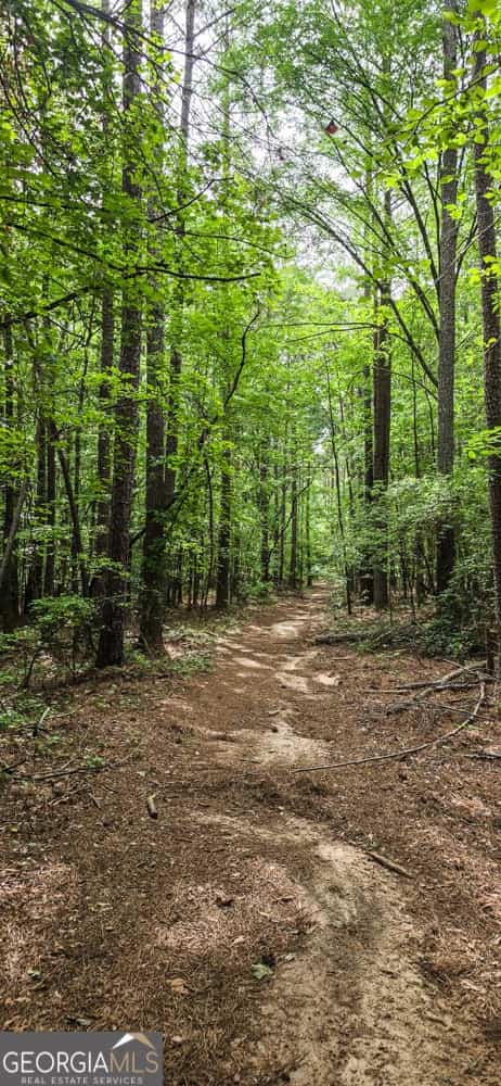 420 PADGETT RD, Senoia, GA 30276