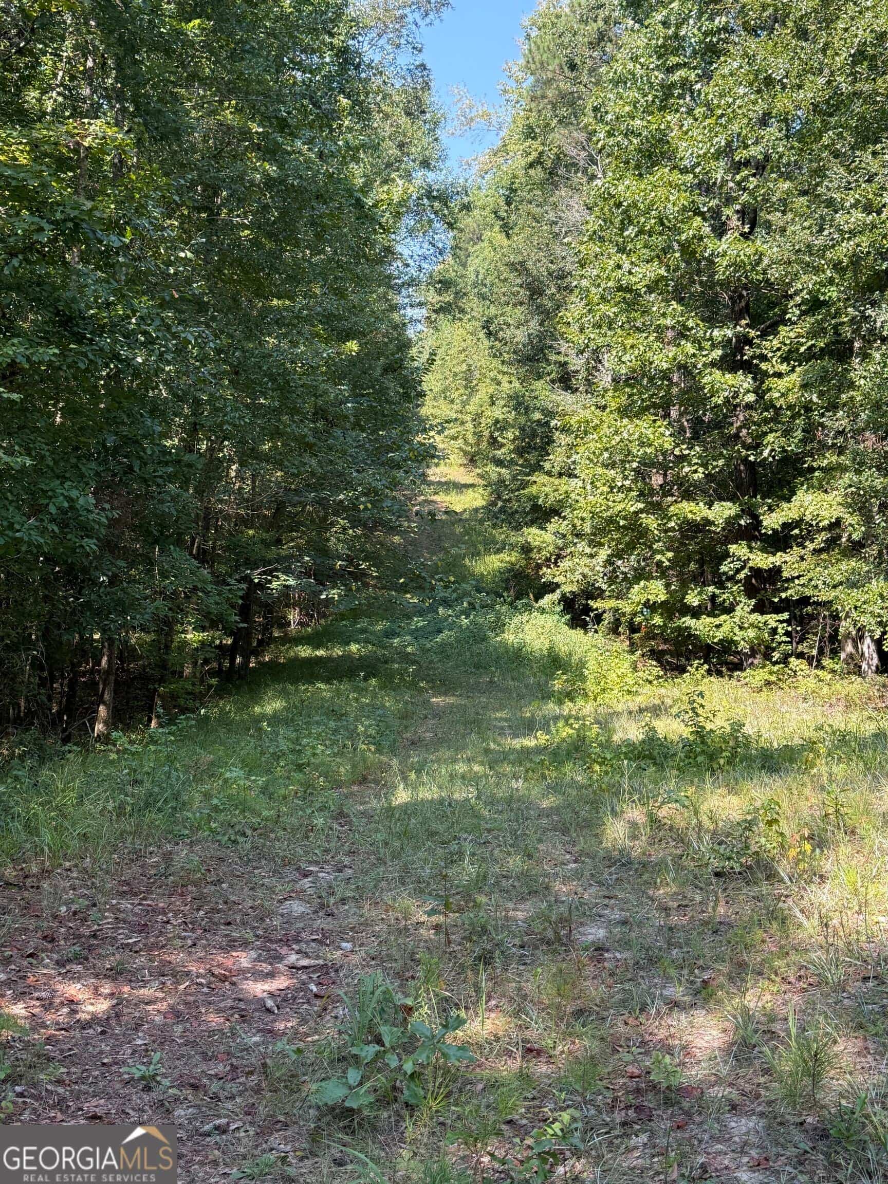 Listing photo 6