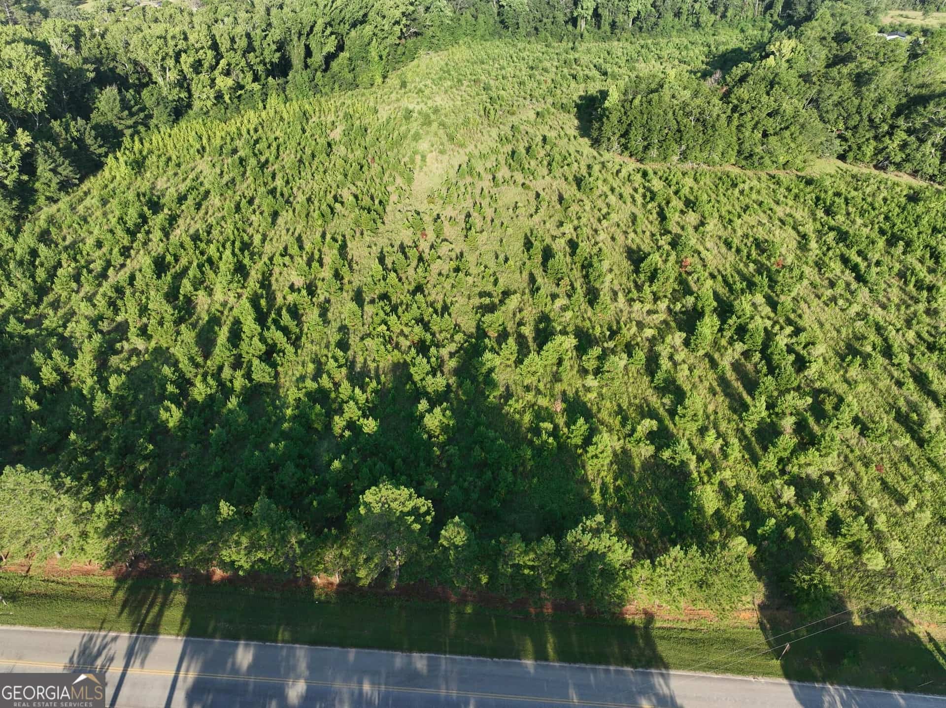 0 Ben Grady Collins RD, Portal, GA 30450