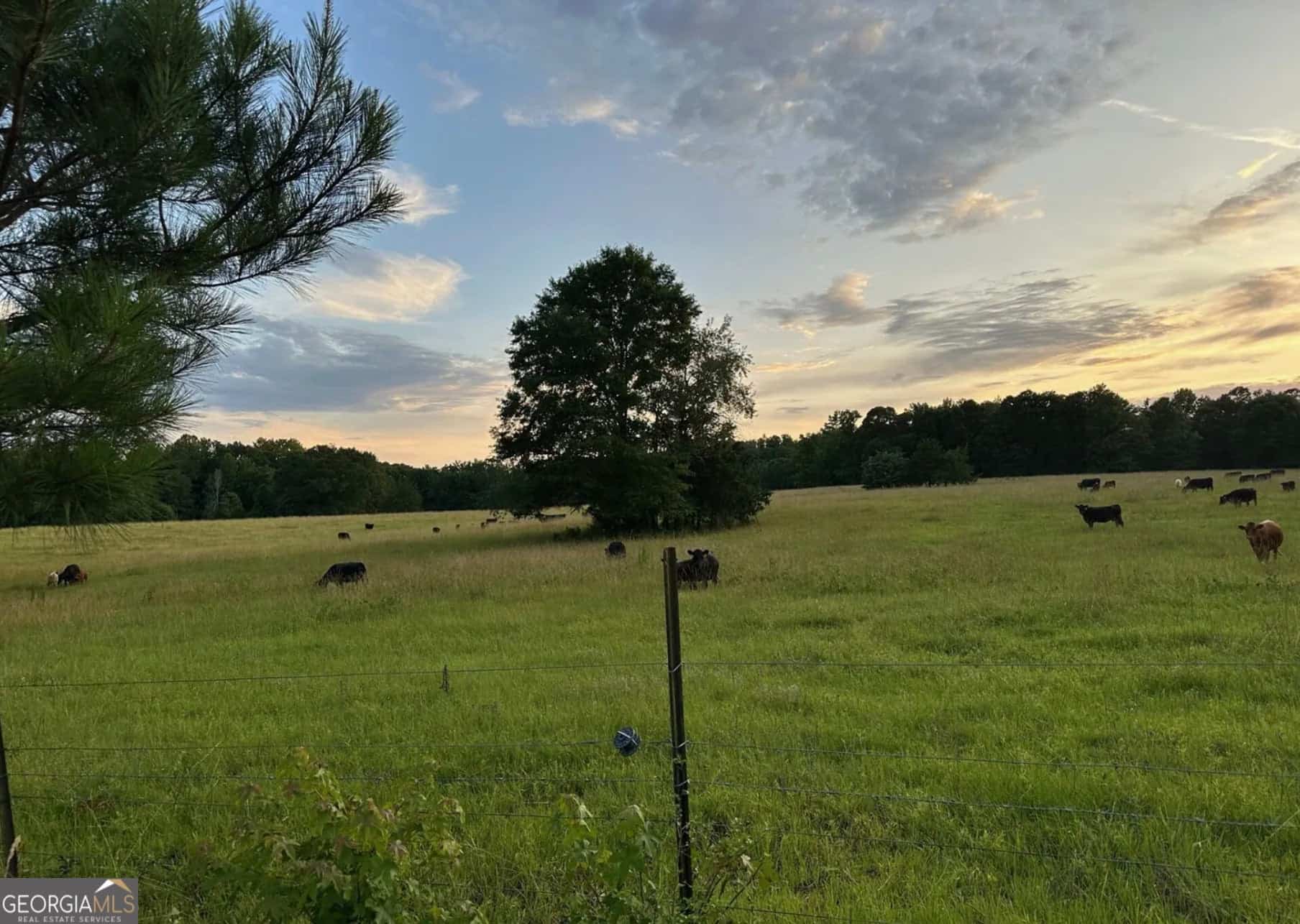 4091 Hollonville RD, Williamson, GA 30292