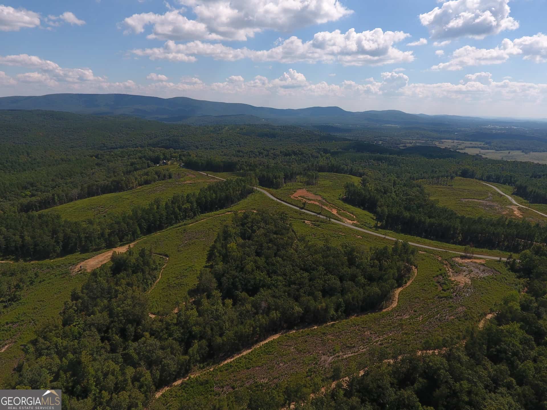 0 Johnson Mountain RD 7401-M #7401-M, Rydal, GA 30171