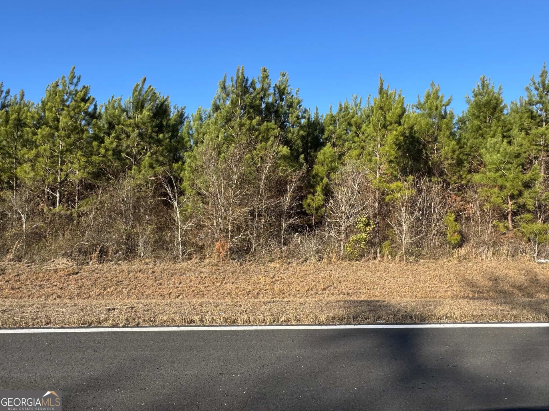 LOT 8A Whitfield RD, Elko, GA 31025