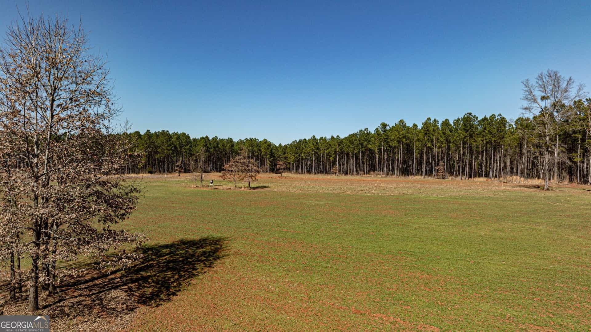 T1 Old Zebulon RD, Forsyth, GA 31029