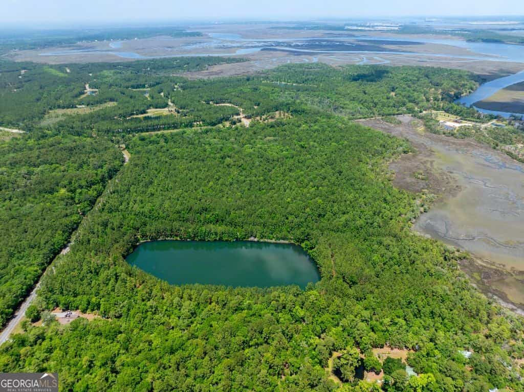 0 21 RD ACRES DOVER BLUFF #ACRES DOVER BLUFF, Waverly, GA 31565