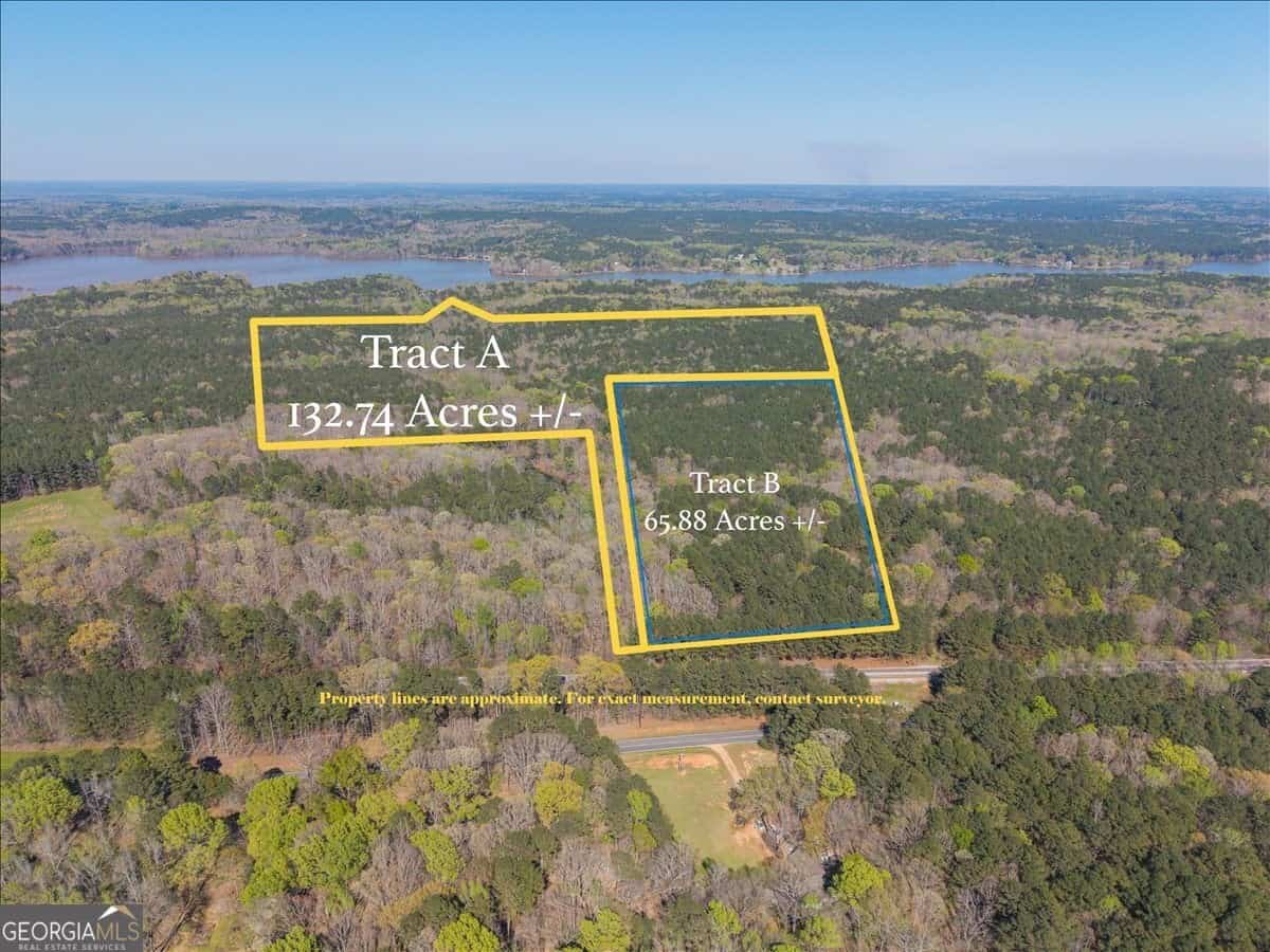 198 +/- ACRES Apalachee Woods TRL, Buckhead, GA 30625