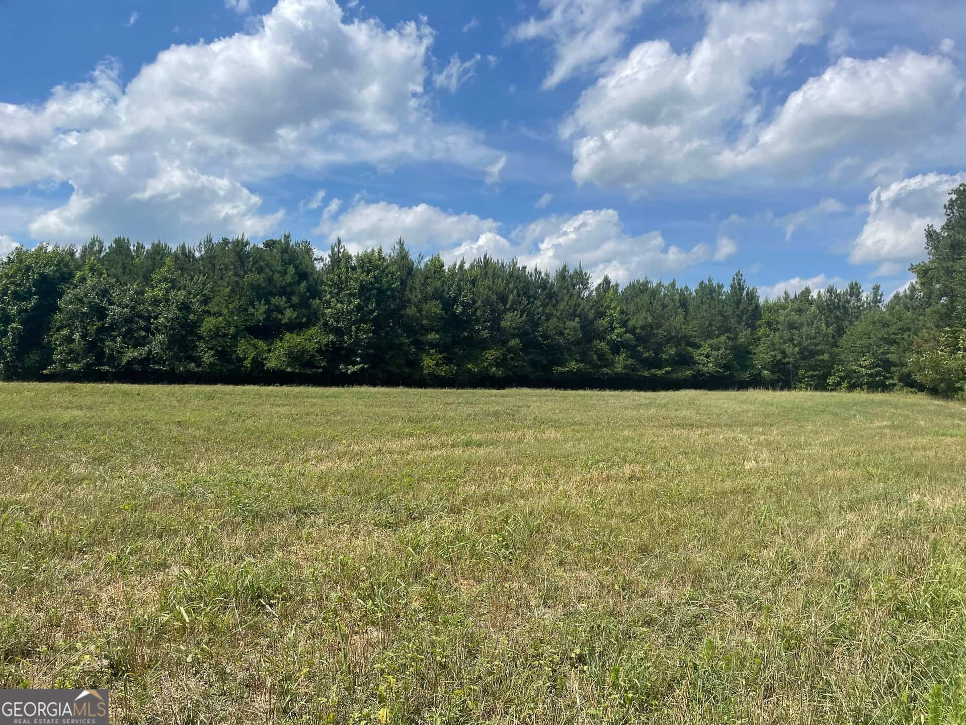 0 Cannon RD, Sharpsburg, GA 30277