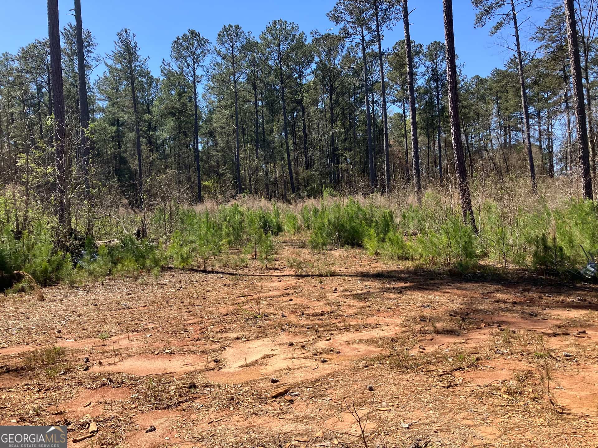 2920 Airline RD, Mcdonough, GA 30252