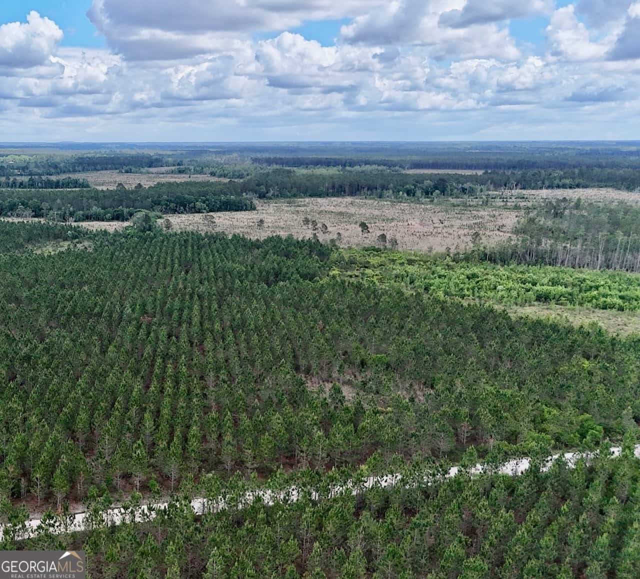17 AC Owens RD, Odum, GA 31555