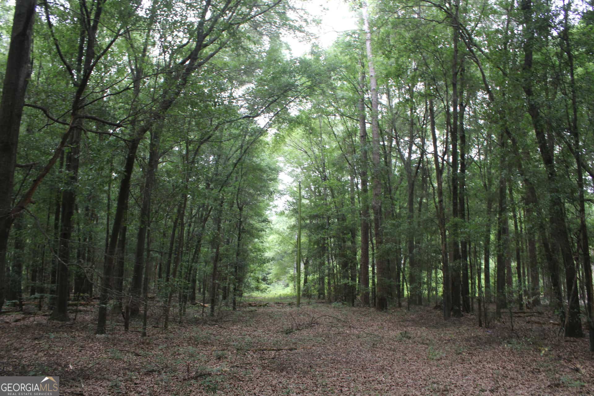 0 S State Route 49 RD, Oglethorpe, GA 31068