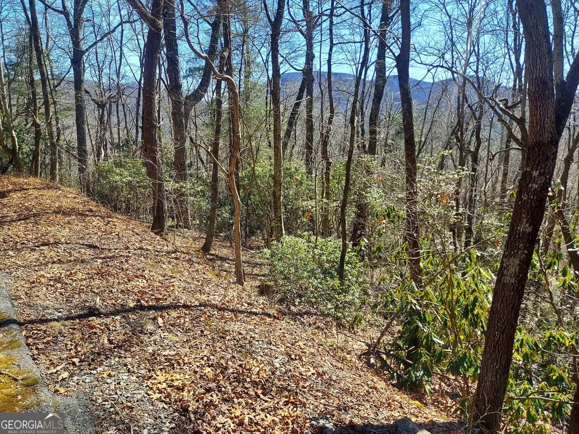 0 LOT 41 Pipetrack Gap RD, Scaly Mtn, NC 28775
