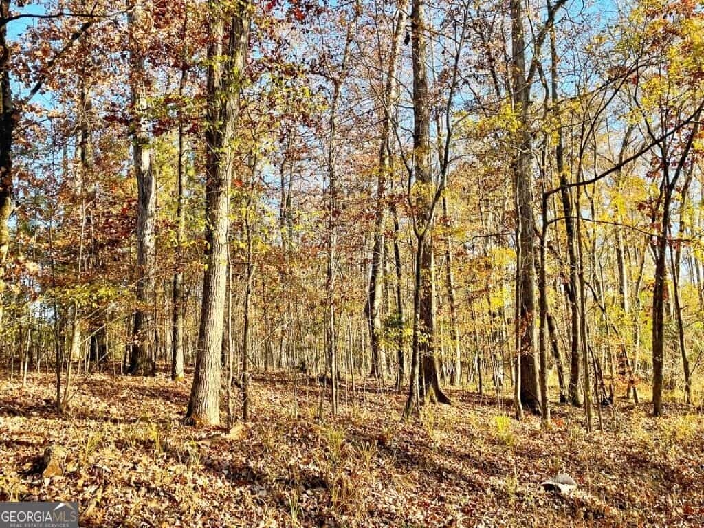 0 Fullerton-Phillips RD, Hillsboro, GA 31038