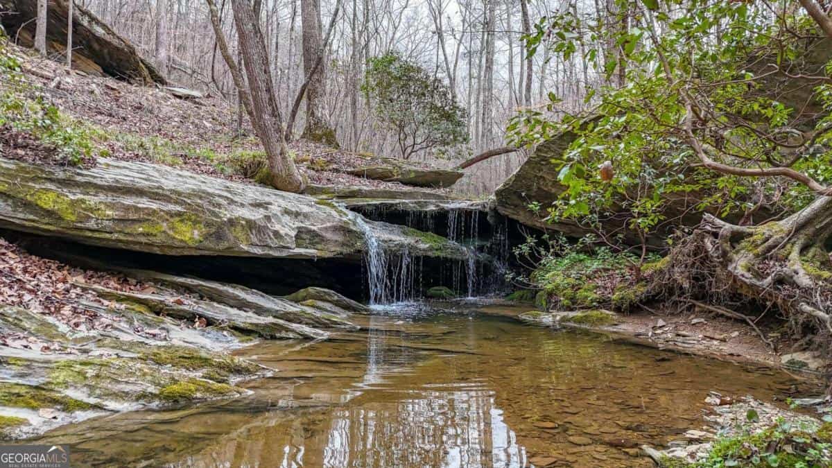 0 Felton Rockmart RD, Buchanan, GA 30113