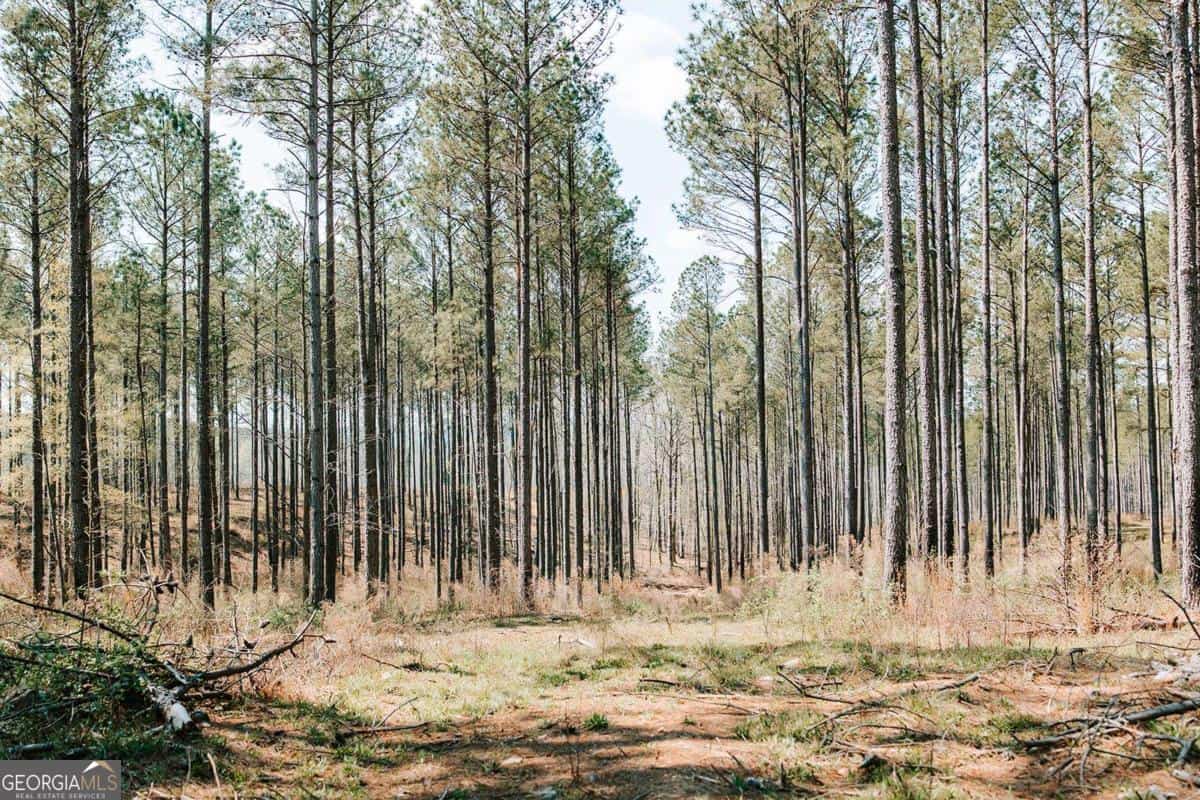 0 Washington RD, Lexington, GA 30648