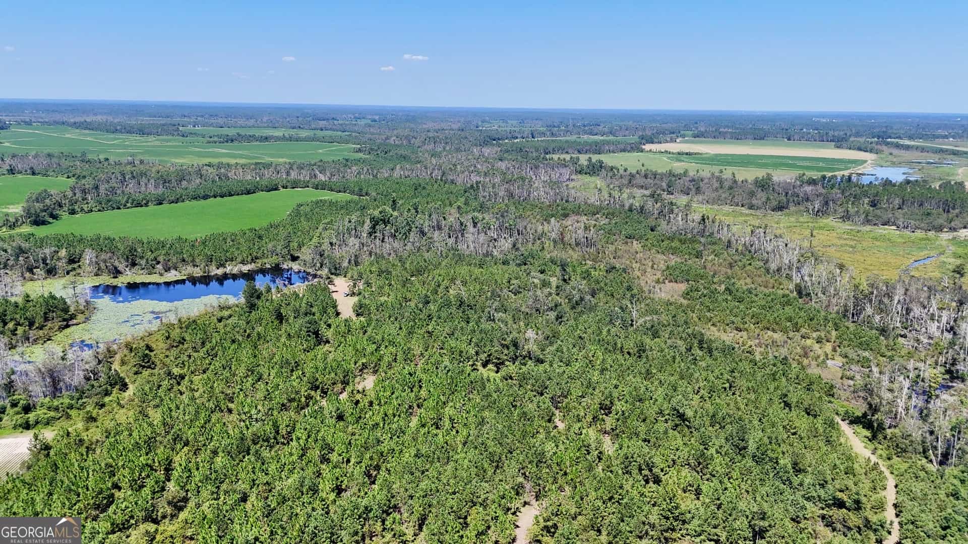 TRACT 2 Rhonda Coleman RD, Hazlehurst, GA 31539