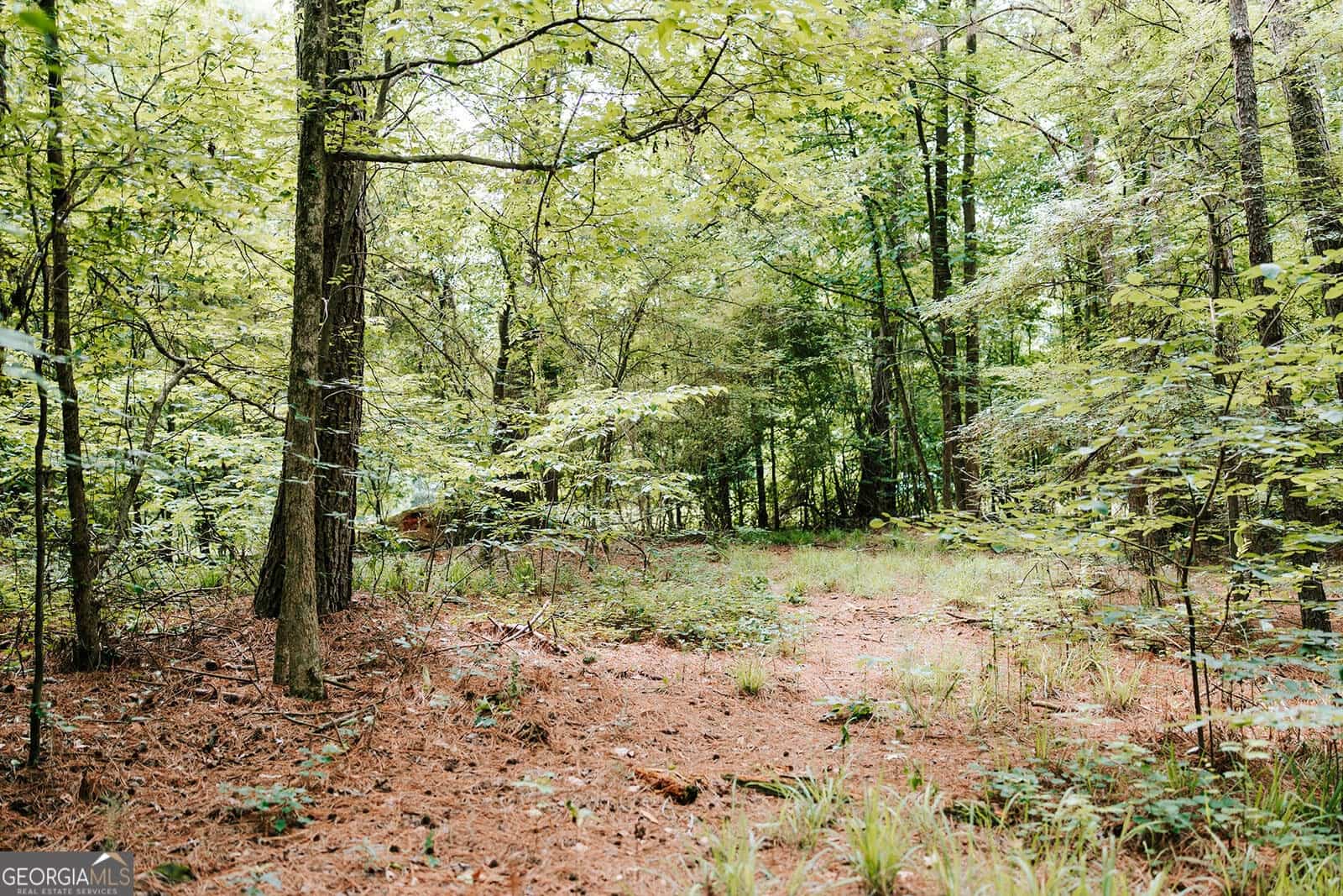 Listing photo 6