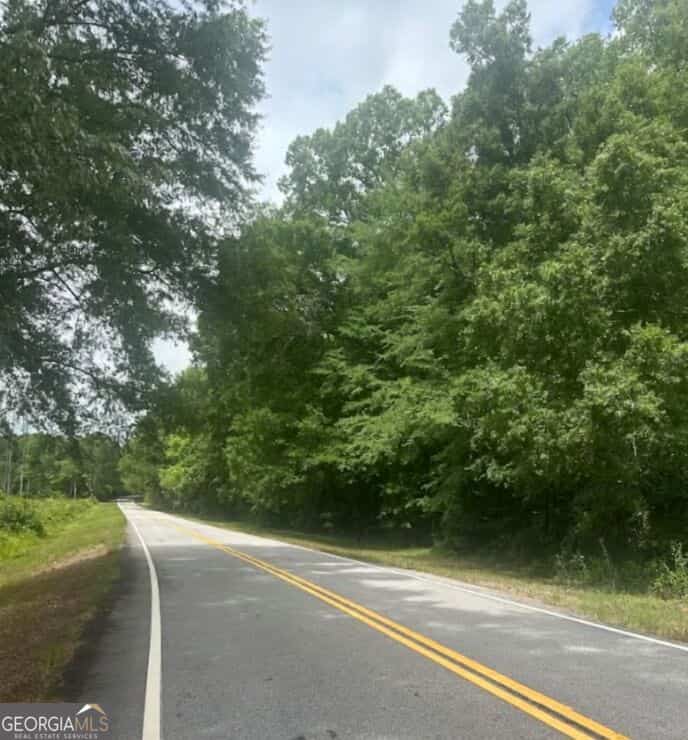 LOT 1 (40+/- AC) Line creek RD, Senoia, GA 30276