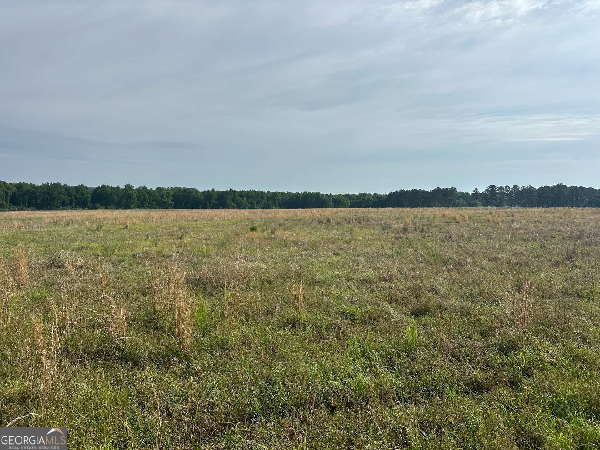1309 Jarrell Pond RD, Sylvania, GA 30467