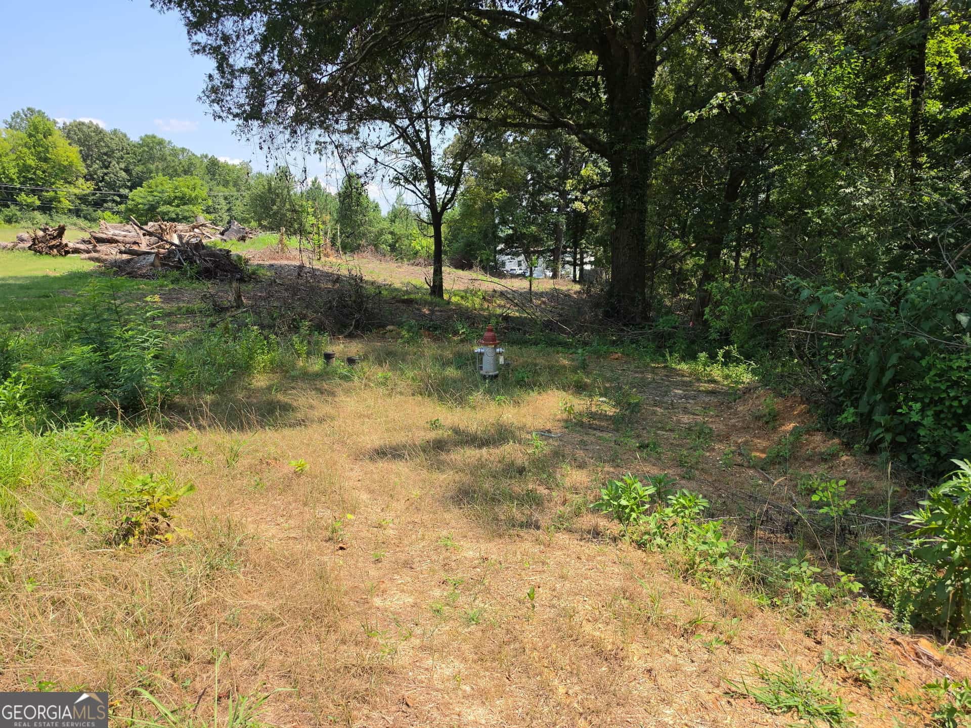 Listing photo 6