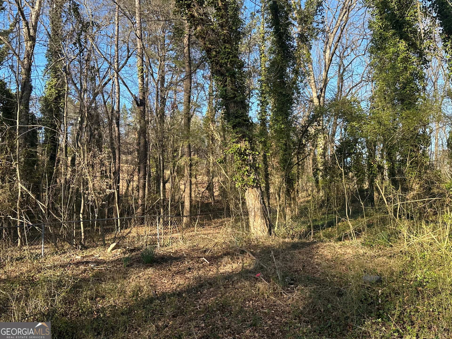 Listing photo 6